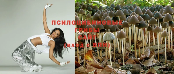 прущие крисы Аркадак