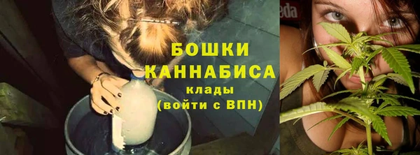 прущие крисы Аркадак